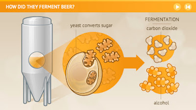How Did They Ferment Beer - Add Yeast to Wort + Time = Carbon Dioxide + Alcohol Source: NIH - https://www.nlm.nih.gov/exhibition/fromdnatobeer/exhibition-interactive/fermentation/fermentation-alternative.html