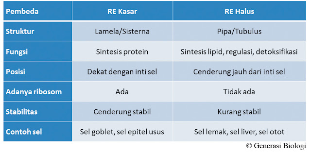  Sel memegang peranan penting dalam sistem kehidupan 10 Struktur dan Fungsi Organel-organel Sel, TERLENGKAP
