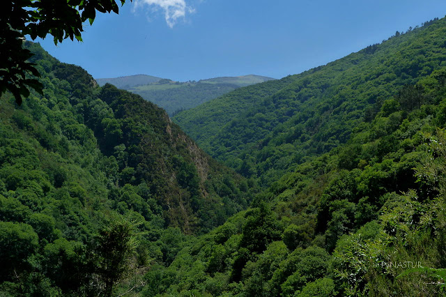 Bosques de Taramundi - Reserva de la Biosfera Oscos Eo Bosques de Taramundi - Reserva de la Biosfera Oscos Eo