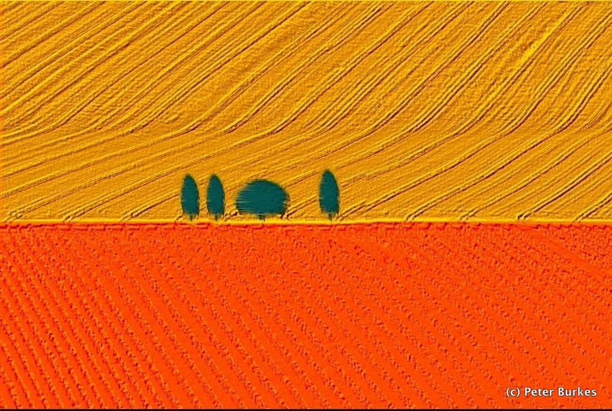 Dietmar Wolfl In Der Kleinen Galerie Jacqueline Schulte Buchloe