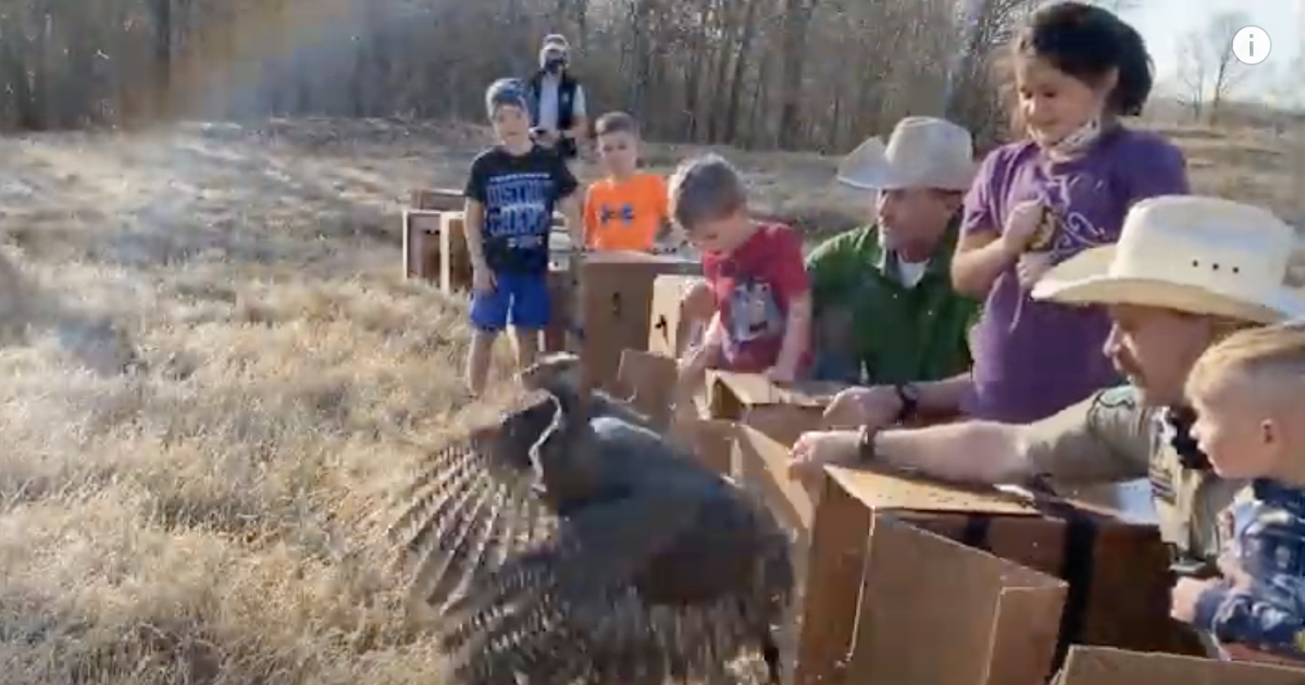 Outdoor Tips from Texas Parks & Wildlife magazine Restoring East Texas