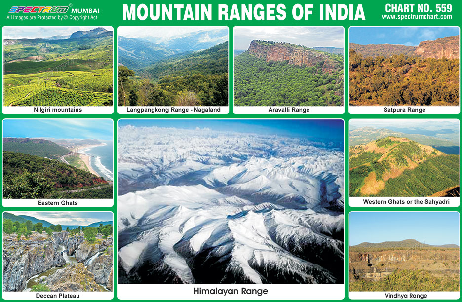 Mountain Chart