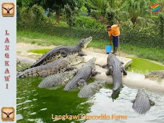 Crocodile Adventureland Langkawi, Malaysia