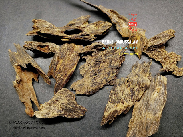 Agarwood For Life™