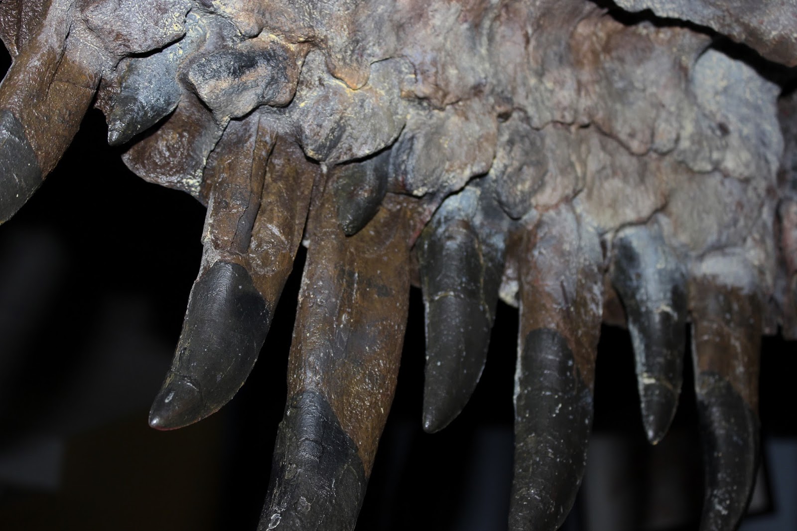 The Natural World: Jurassic World: Shed Teeth