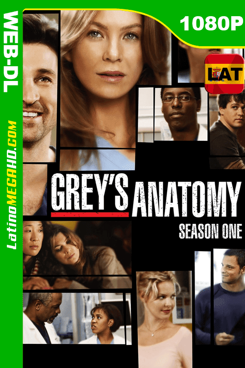 Anatomía según Grey (2005) Temporada 01 Latino HD WEB-DL 1080P ()