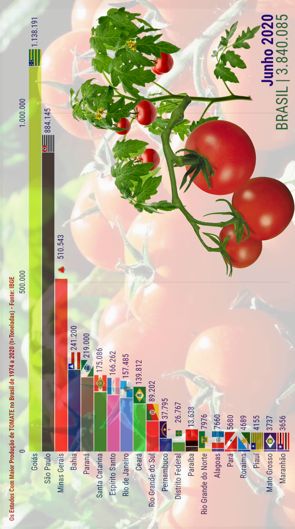 Produtores de Tomate do Brasil