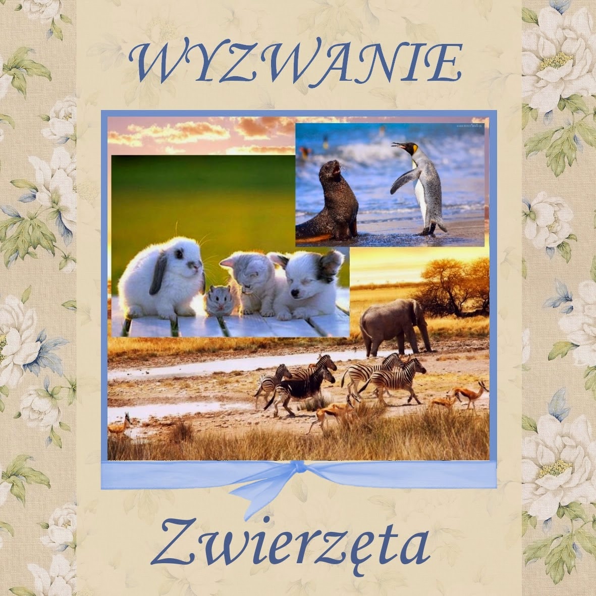 Zwierzęta w Szufladzie