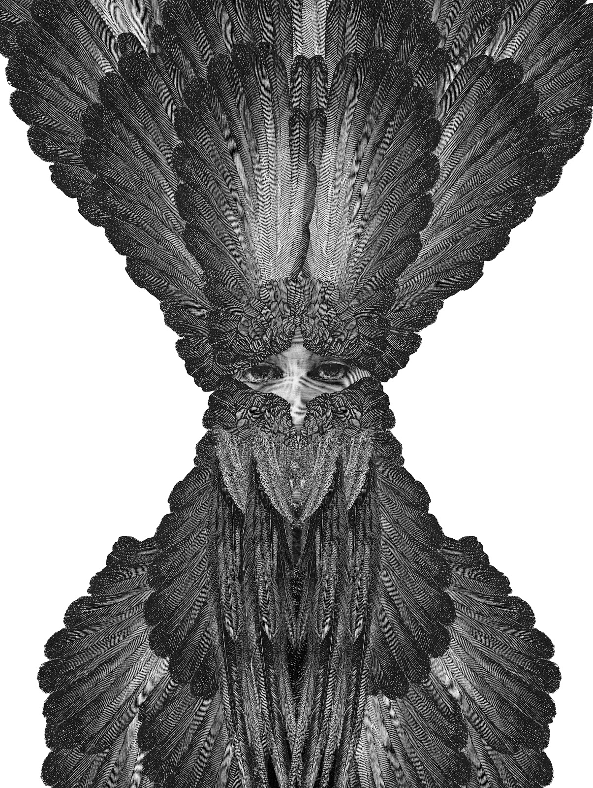 Dan Hillier... Kai Fine Art