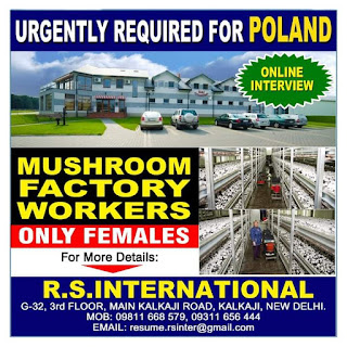 Gulf%2BJob%2BPaper%2B%252817%2529