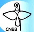 Site CNBB Nacional