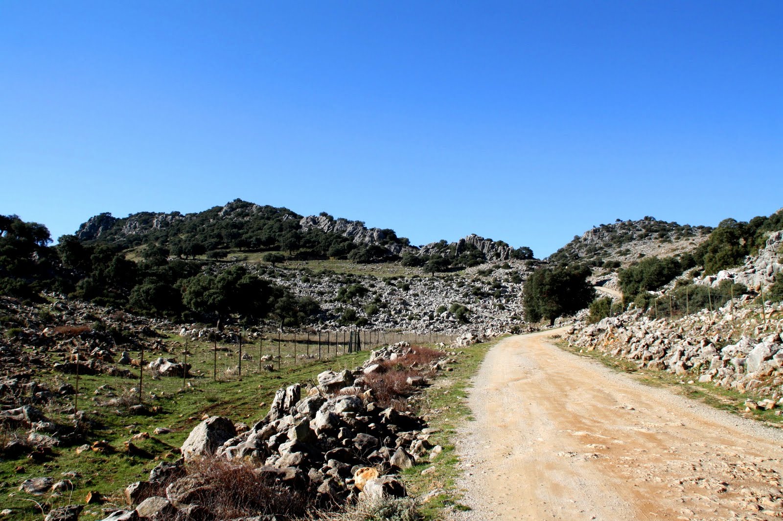 The Blue Colour of The Sky