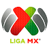 Fútbol: Equipos de la Primera División de México