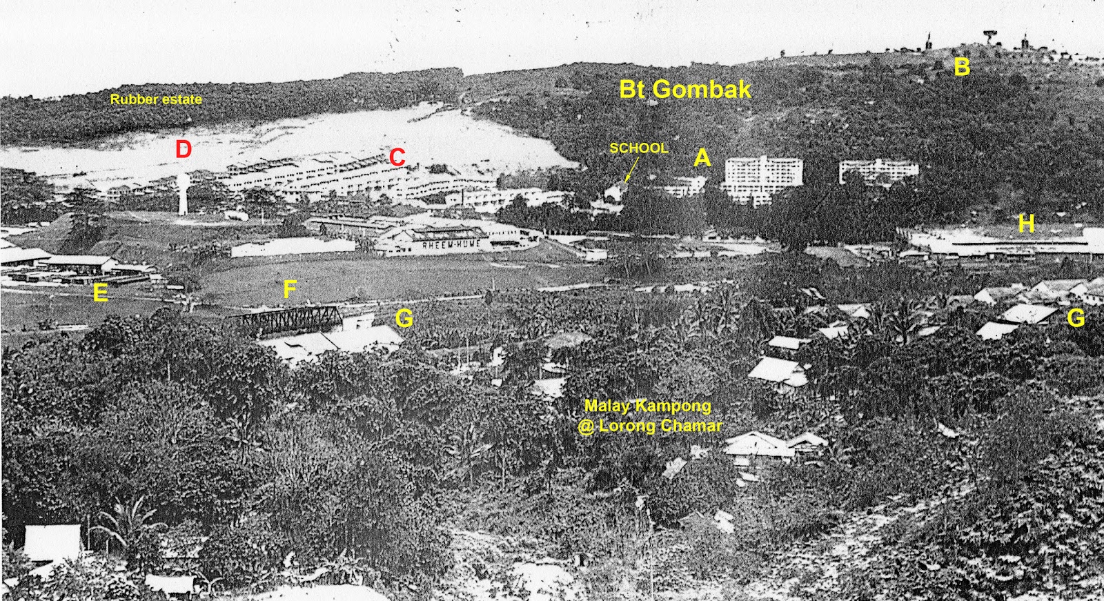 Princess Elizabeth Estate, Hillview Hillview seen from Bukit Timah Hill