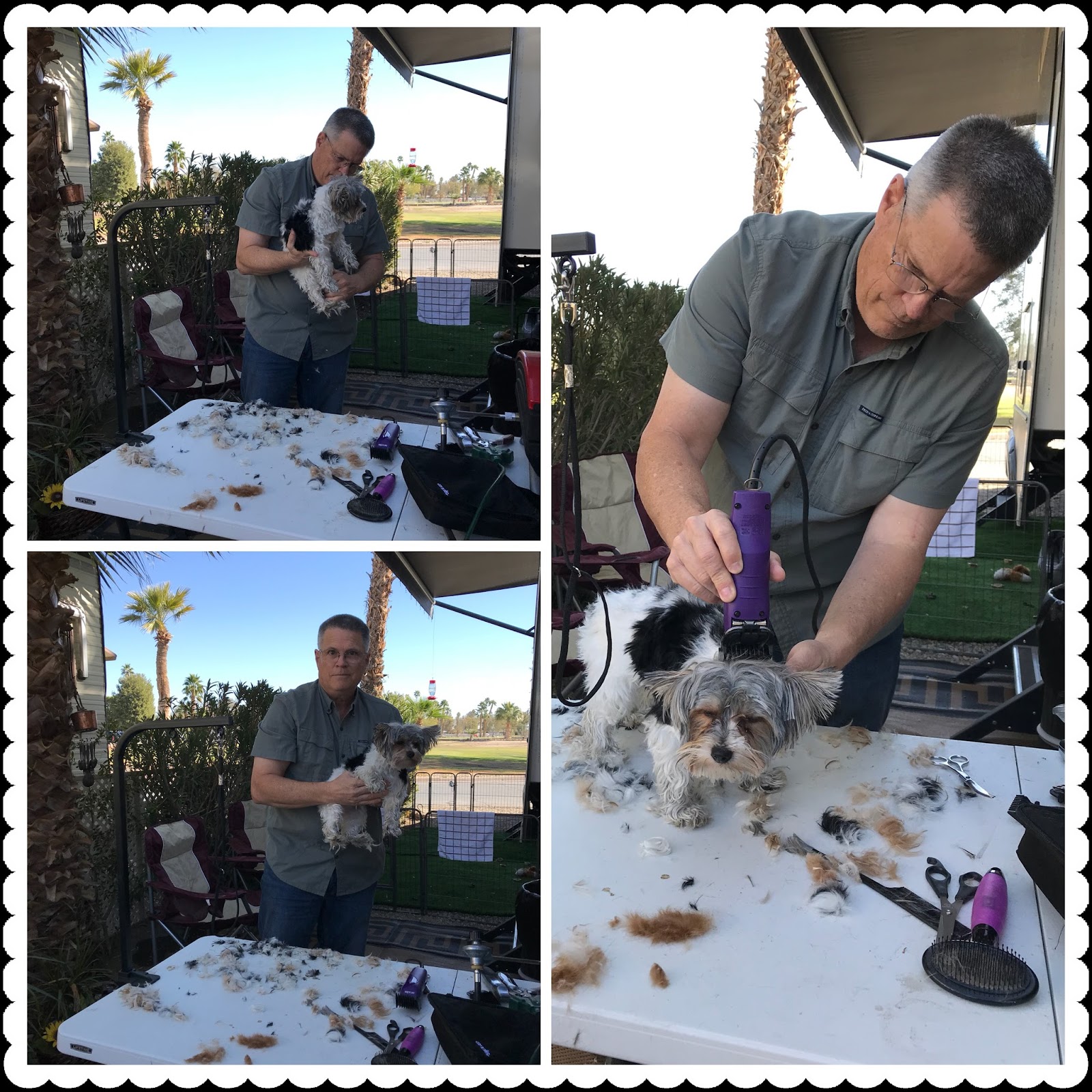 Two Utah Gypsies RVing National Sites in the US Scott's New Profession Dog Groomer