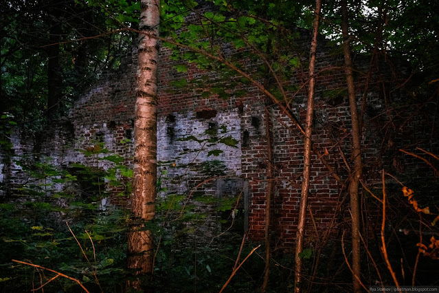 Сочинение про усадьбу рукавишниковых Березы проросшие в кирпичных развалинах