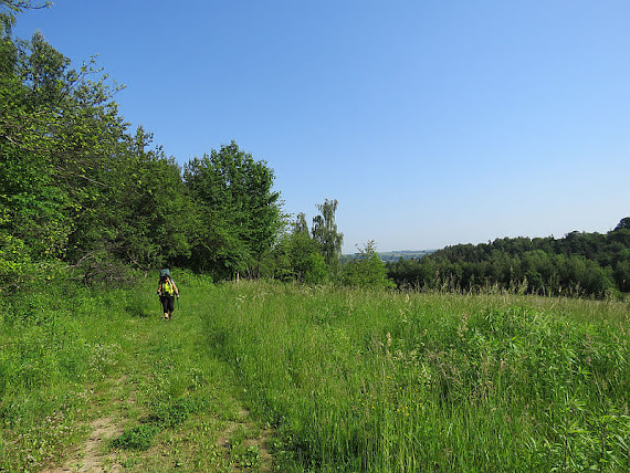 Wzgórze wzgorze