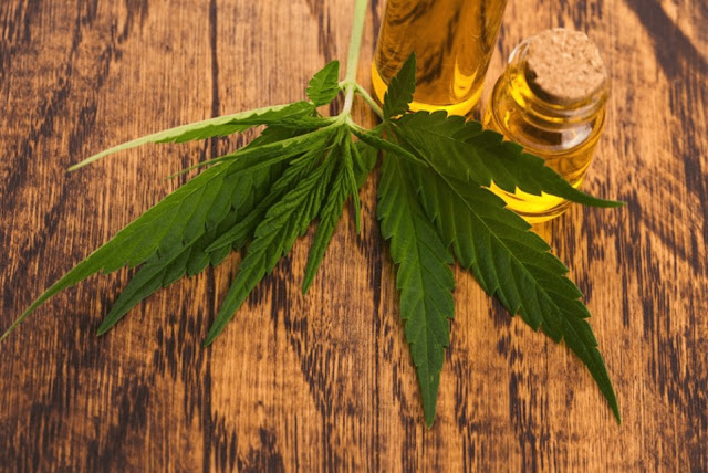 Hemp Oil for Pain Relief