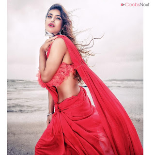 Neha Malik in Red Saree Amazing Beauty Stunning Red   .xyz Exclusive 003