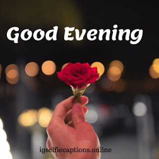 lovely good evening images lovely good evening images