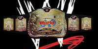 WWE_World_Tag_Team