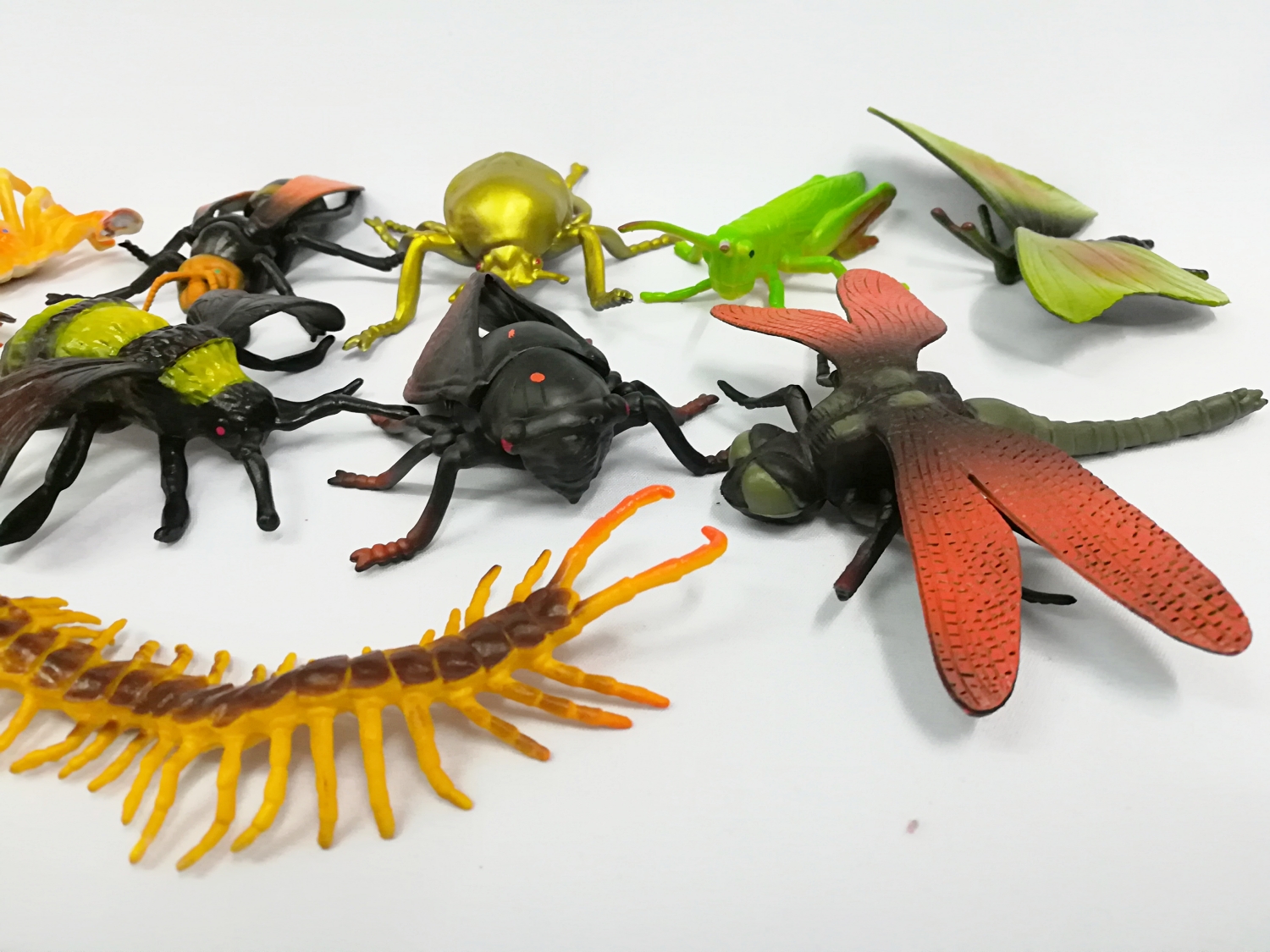 BongBongIdea TOY INSECTS 10 PCS EXTRA LARGE SIZE