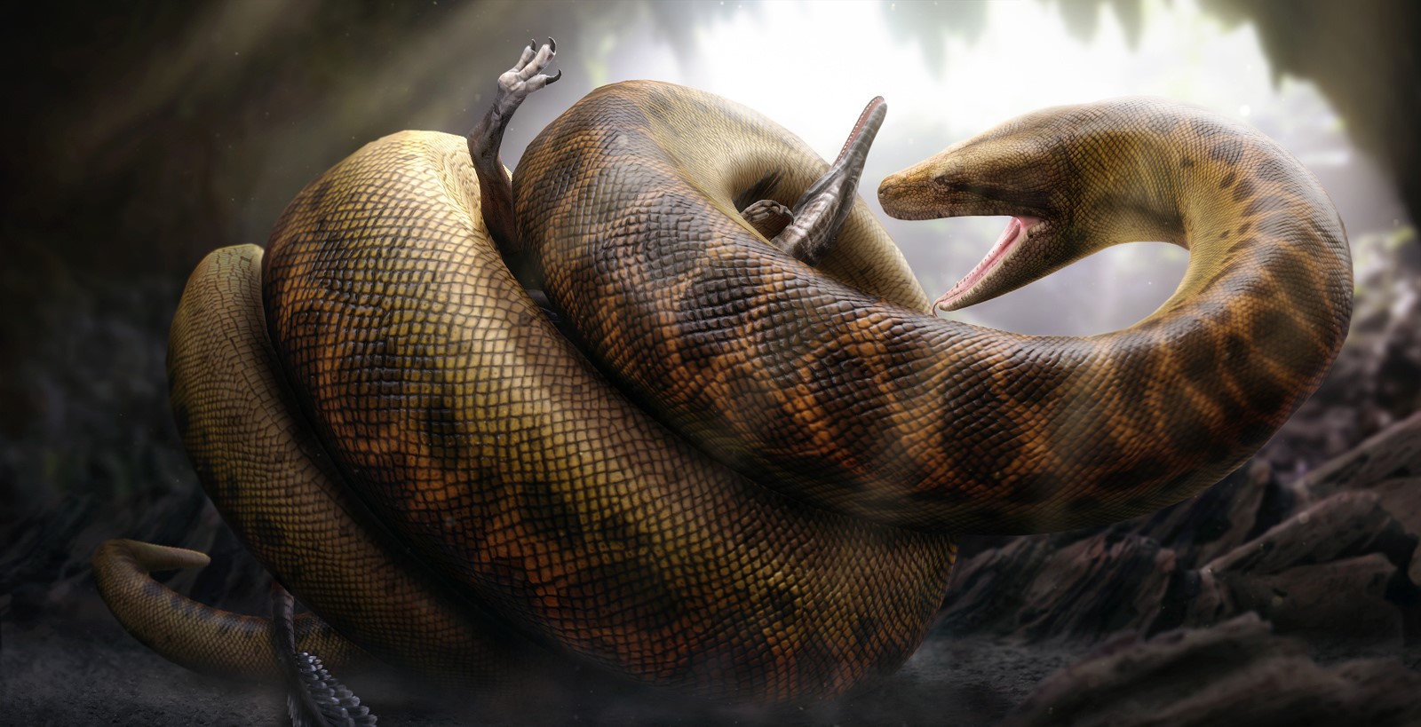 Titanoboa"تيتانوبوا"