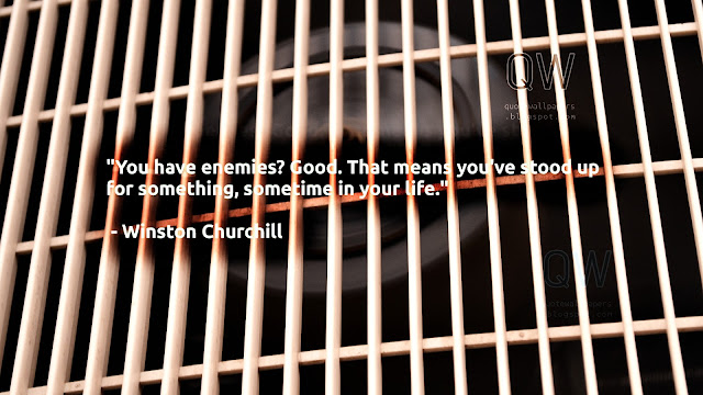 "You have enemies? Good. That means you've stood up for something, sometime in your life." - Winston Churchill