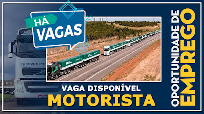 vaga para motorista carreteiro