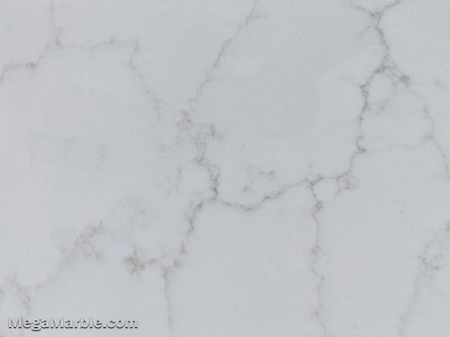 Bianco Venatino Quartz Stone Color