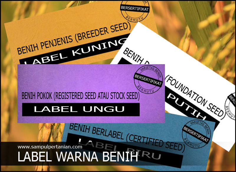 Arti warna  label  benih padi bersertifikat Label  Kuning 