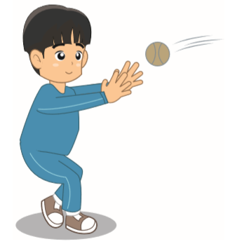 Tehnik Dasar Menangkap Bola Kasti - MaoliOka