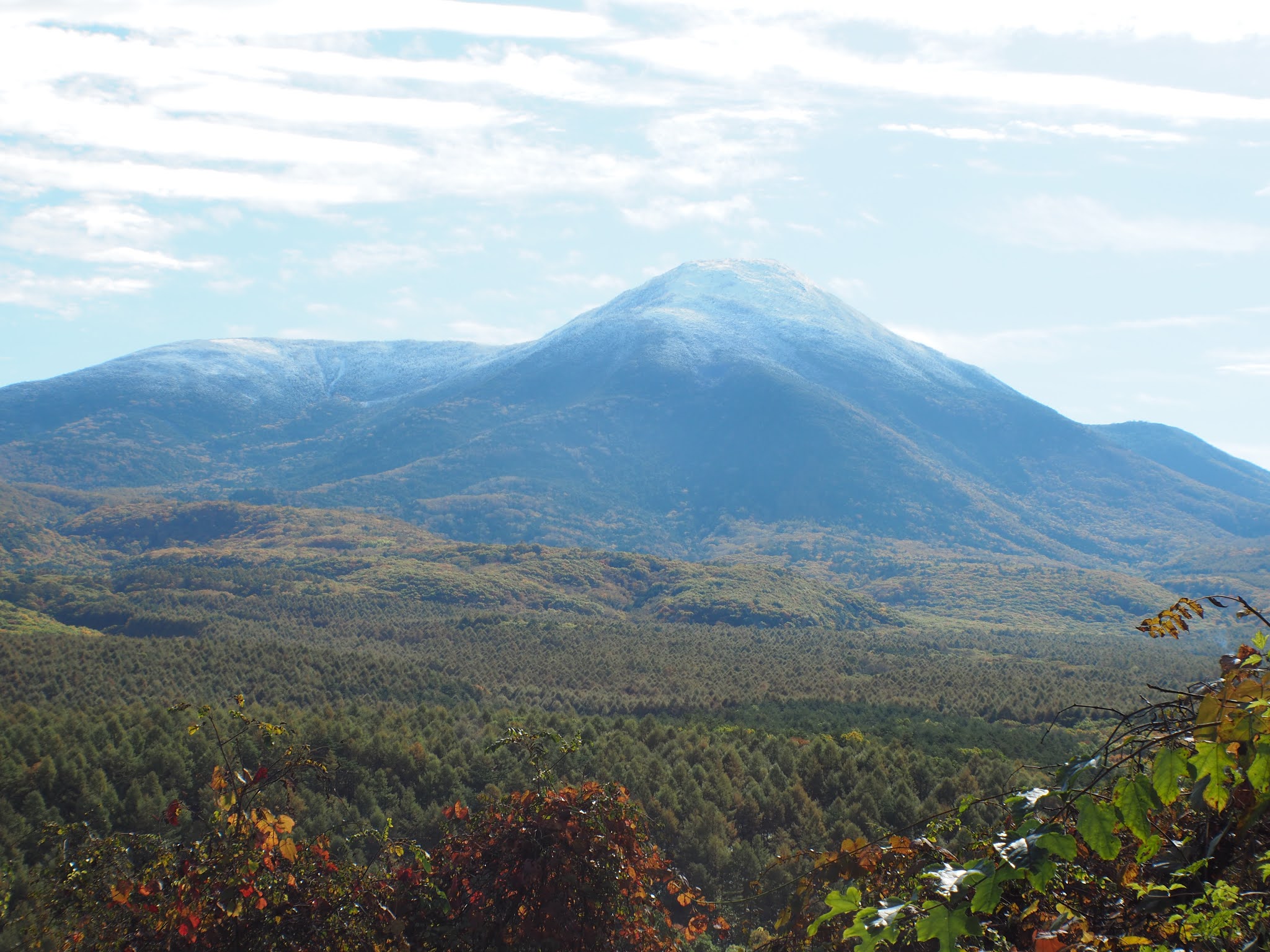 今日の美し松 蓼科山が初冠雪 紅葉も見頃