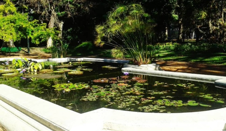 5 Recorridos turísticos de Buenos Aires 9 5 Recorridos turísticos de Buenos Aires
