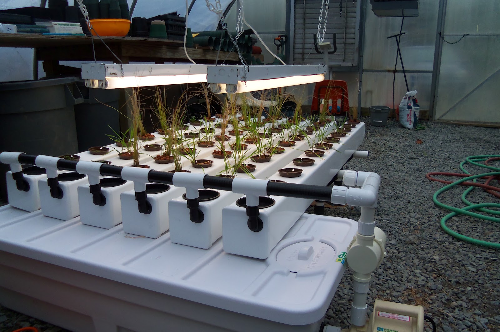 GrowCleanWater Hydroponic System Setup