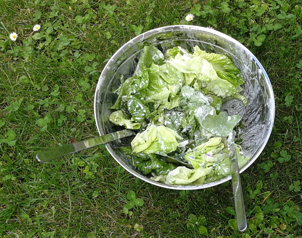 Barbaras Spielwiese: Grüner Salat mit Joghurt-Dressing