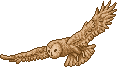 coruja8.gif