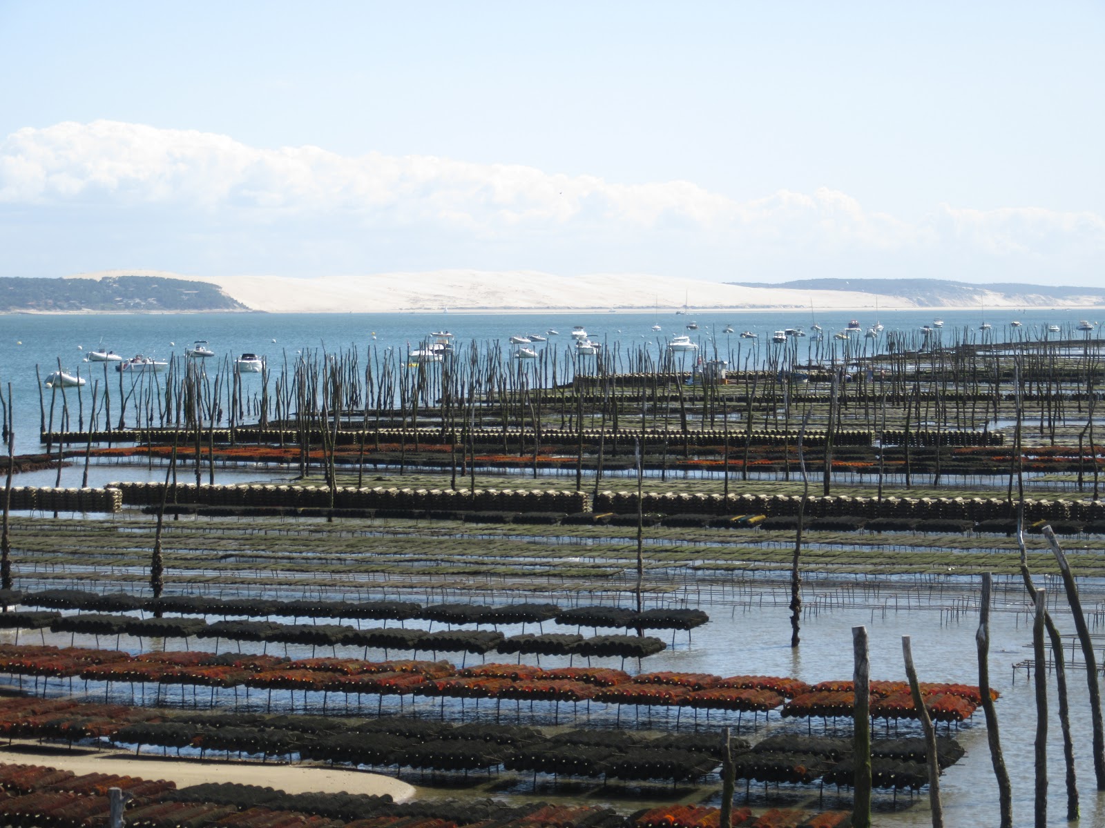 VIAJANDO EN FAMILIA CAP FERRET