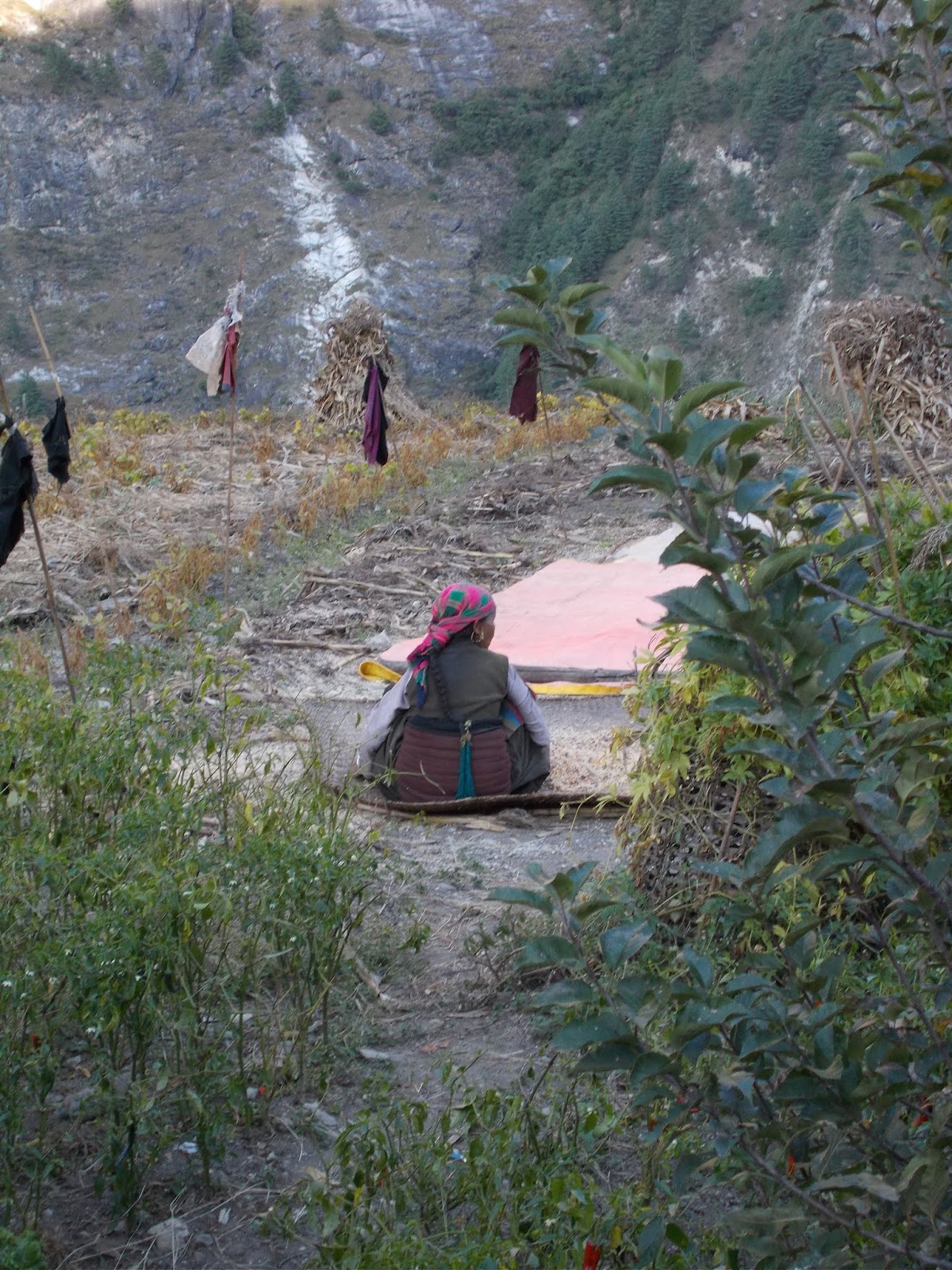 Вокруг Манаслу, долина Цум, Нар-Пу. Непал 2017.