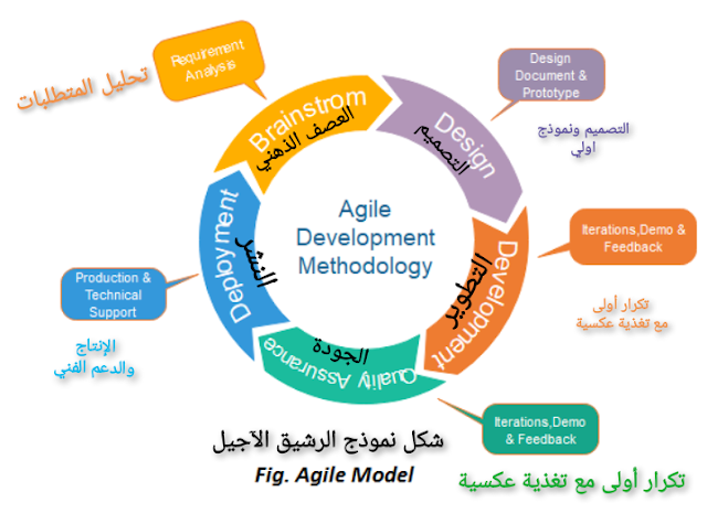 نموذج منهجية  الآجيل  او  الرشيق  دورة حياة تطوير النظام او البرمجيات  SDLC  What is Agile model  #