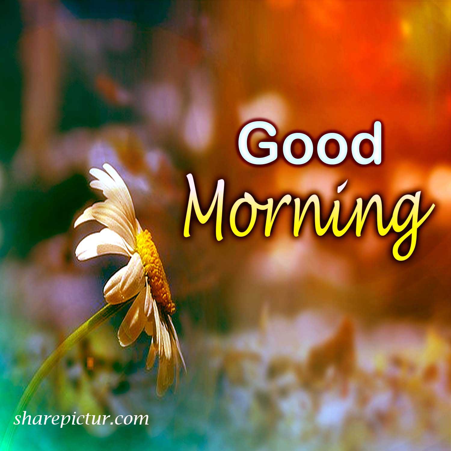 special good morning wishes
