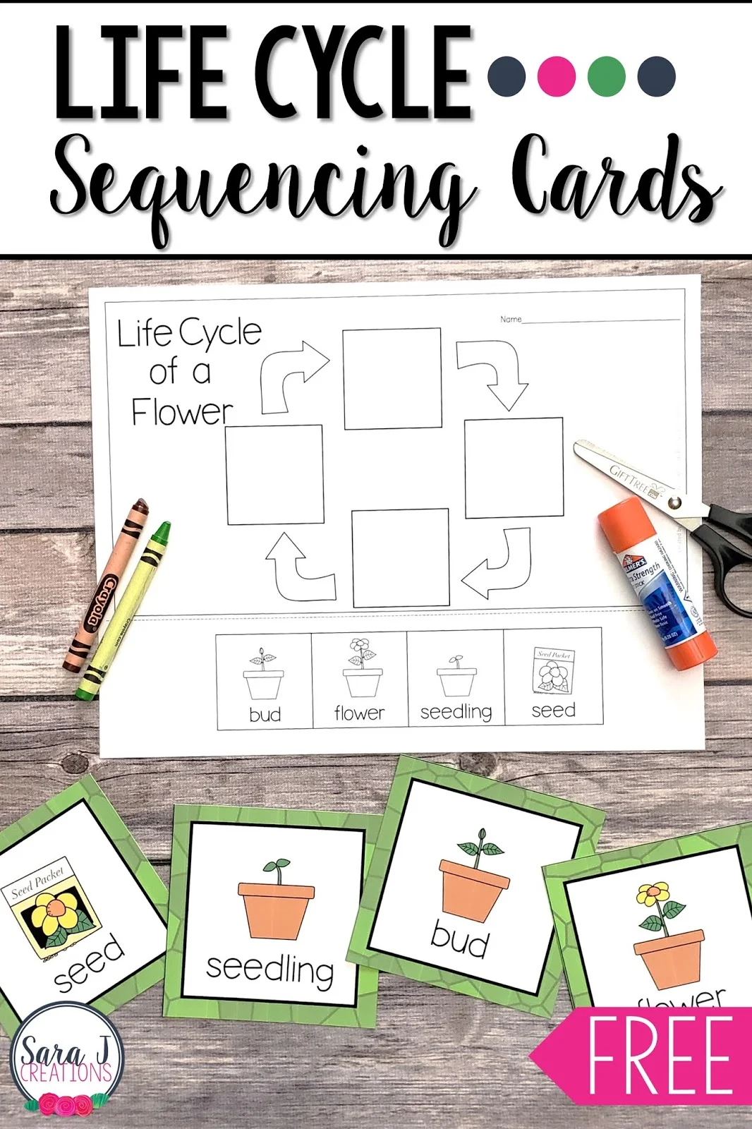 Learning about the life cycle of a bee, flower, butterfly, and frog with these free printables! Practice sequencing the life cycle with these cards and then complete a cut and glue activity.