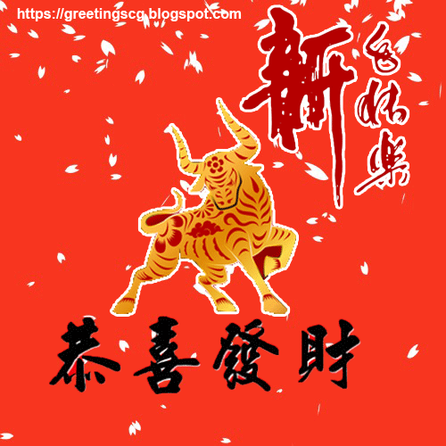 My Image 15