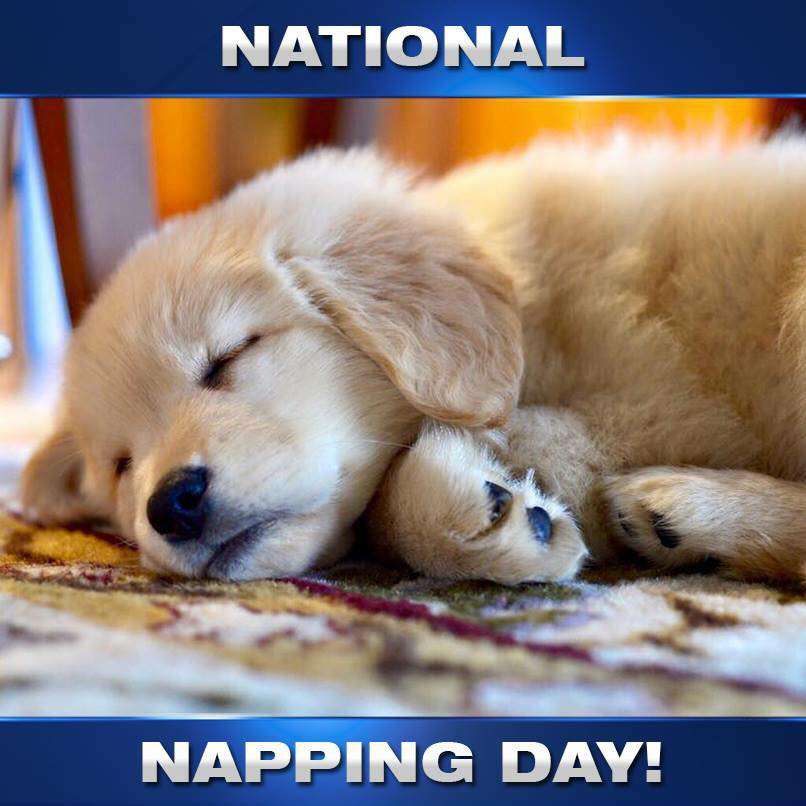 National Napping Day Wishes Pics National Napping Day Wishes Pics