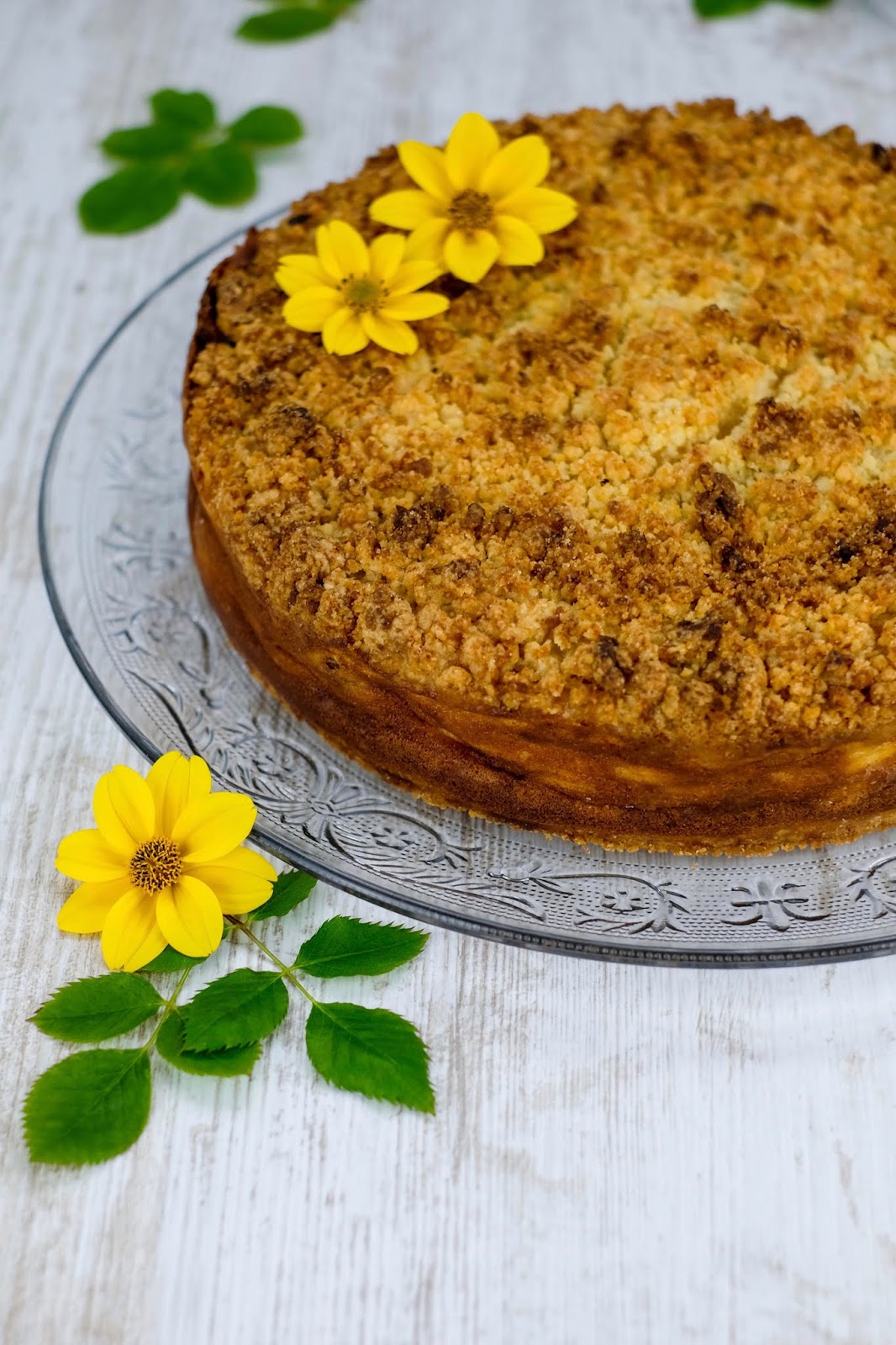 Mirabellen und Quark Streuselkuchen | Marion's Kaffeeklatsch Mirabellen und Quark Streuselkuchen | Marion's Kaffeeklatsch