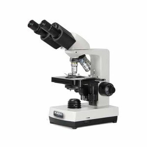 Microscopio-Optico