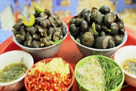 Ốc Bươu Vàng - Vựa Ốc Bươu Đồng