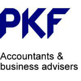 PKF Consulting Limited