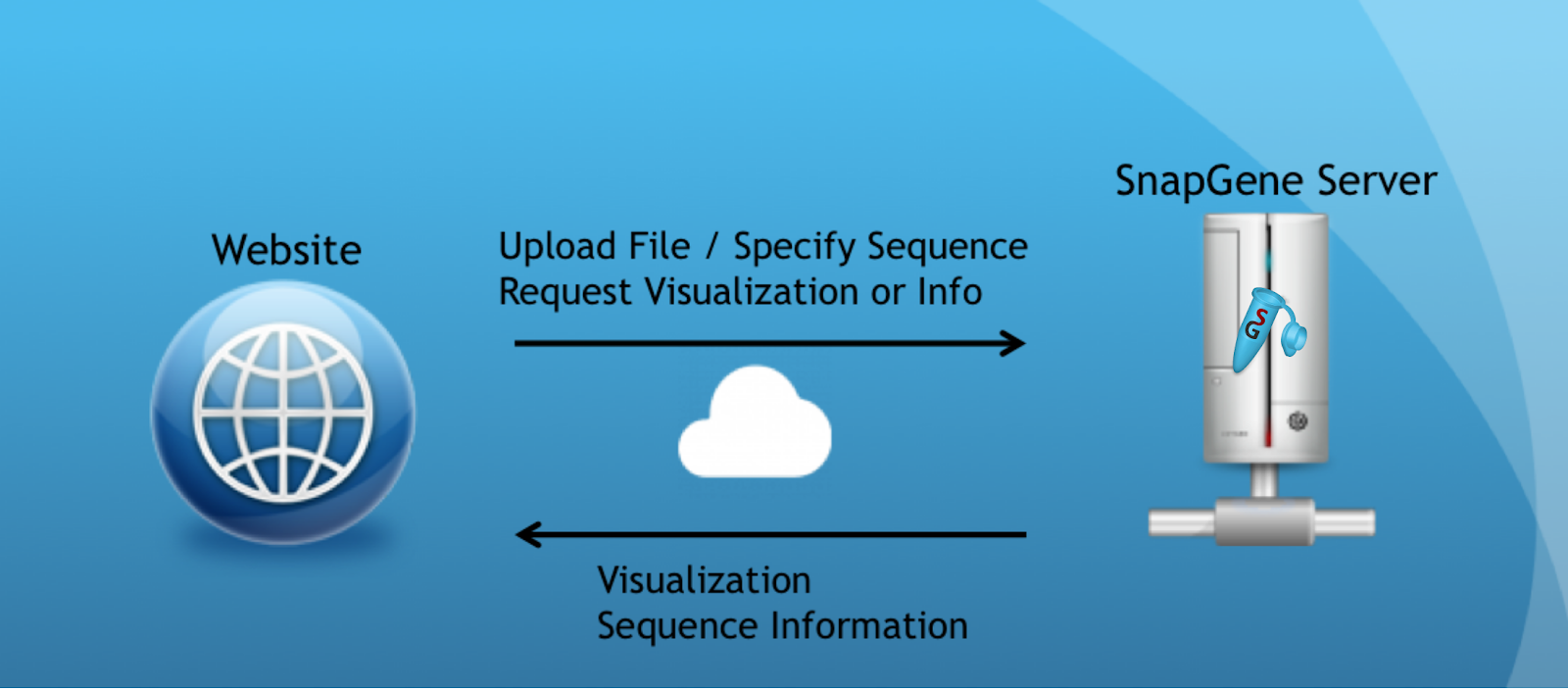 snapgene viewer torrent