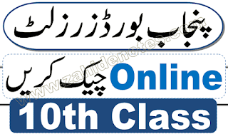 10th class matric result 2022 check online